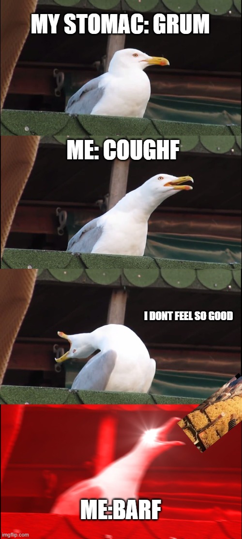 Inhaling Seagull Meme | MY STOMAC: GRUM; ME: COUGHF; I DONT FEEL SO GOOD; ME:BARF | image tagged in memes,inhaling seagull | made w/ Imgflip meme maker