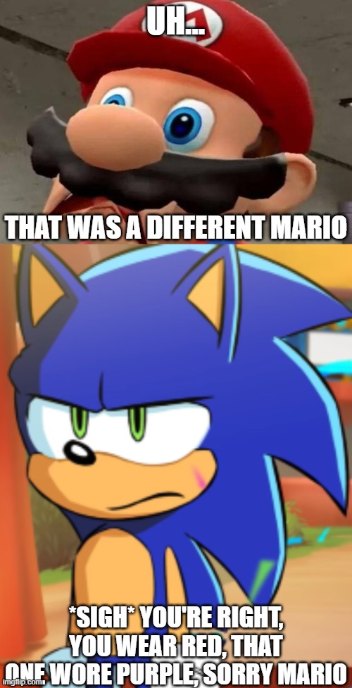 UH... THAT WAS A DIFFERENT MARIO *SIGH* YOU'RE RIGHT, YOU WEAR RED, THAT ONE WORE PURPLE, SORRY MARIO | image tagged in mario wtf,sonic bruh seriously | made w/ Imgflip meme maker