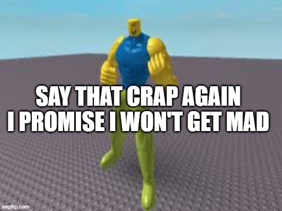 Oh no you angered the buff robloxian | SAY THAT CRAP AGAIN I PROMISE I WON'T GET MAD | image tagged in memes | made w/ Imgflip meme maker