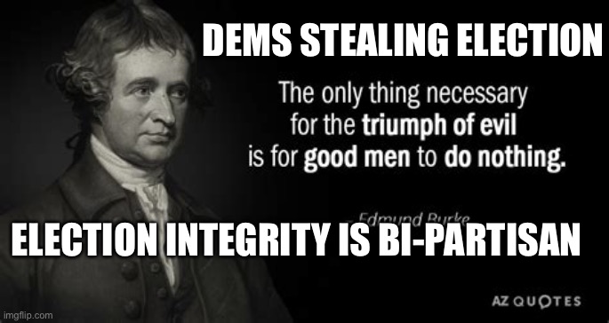 Election integrity is bi-partisan | DEMS STEALING ELECTION; ELECTION INTEGRITY IS BI-PARTISAN | image tagged in edmund burke,voter fraud,voters | made w/ Imgflip meme maker