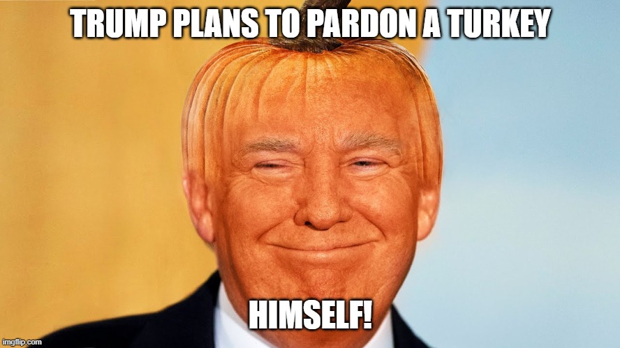 Soon It Will Be Time To Throw The Trumpkin Out! | TRUMP PLANS TO PARDON A TURKEY; HIMSELF! | image tagged in spoiled brat,rotten,disgusting,ugly,liar,fraudster | made w/ Imgflip meme maker