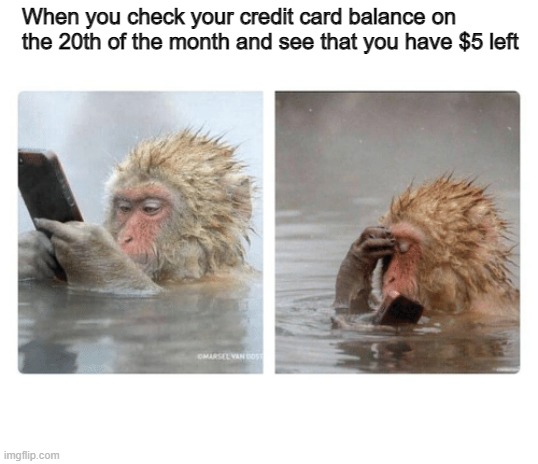 Credit card needed | When you check your credit card balance on the 20th of the month and see that you have $5 left | image tagged in monkey with phone | made w/ Imgflip meme maker