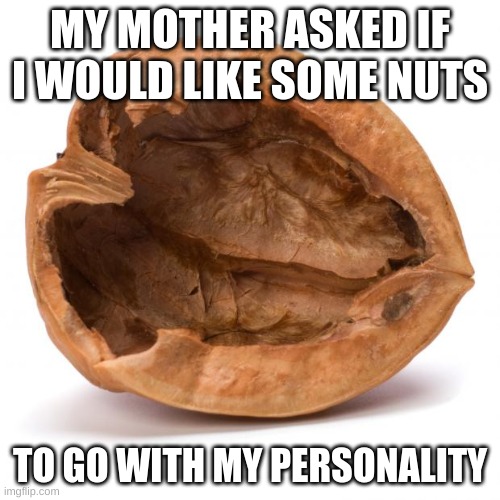 Nuts | MY MOTHER ASKED IF I WOULD LIKE SOME NUTS; TO GO WITH MY PERSONALITY | image tagged in nutshell | made w/ Imgflip meme maker