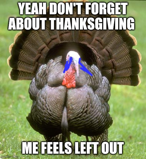 Turkey Feels Left Out | YEAH DON'T FORGET ABOUT THANKSGIVING; ME FEELS LEFT OUT | image tagged in memes,turkey | made w/ Imgflip meme maker