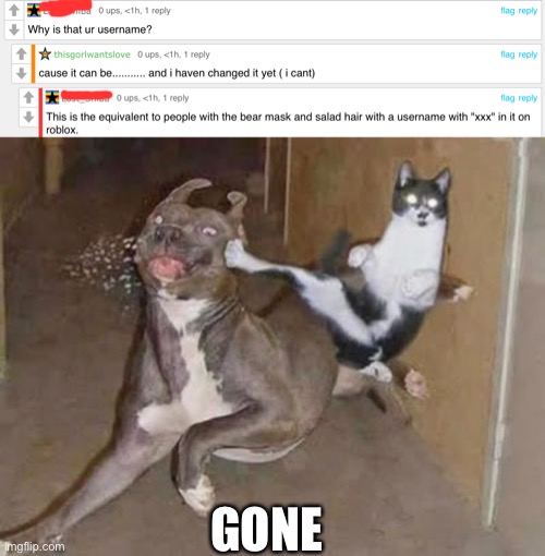 GONE | image tagged in get rekt | made w/ Imgflip meme maker