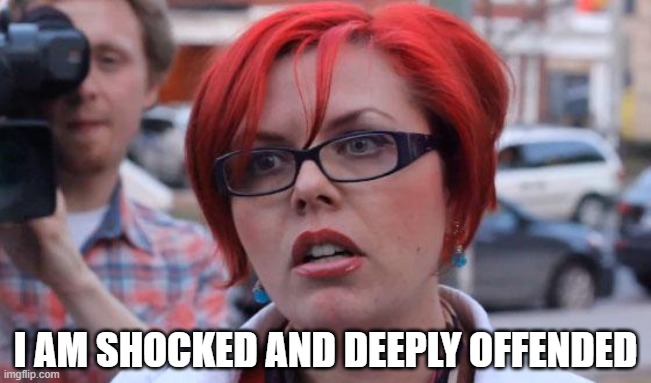 Angry Feminist | I AM SHOCKED AND DEEPLY OFFENDED | image tagged in angry feminist | made w/ Imgflip meme maker