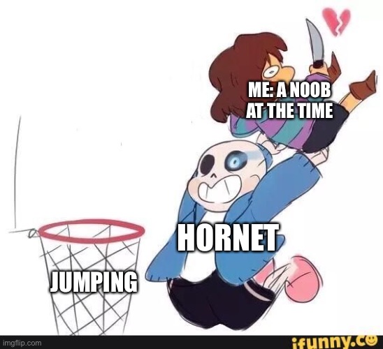 Hollow knight meme thingy magiger | ME: A NOOB AT THE TIME; HORNET; JUMPING | image tagged in hollow knight | made w/ Imgflip meme maker
