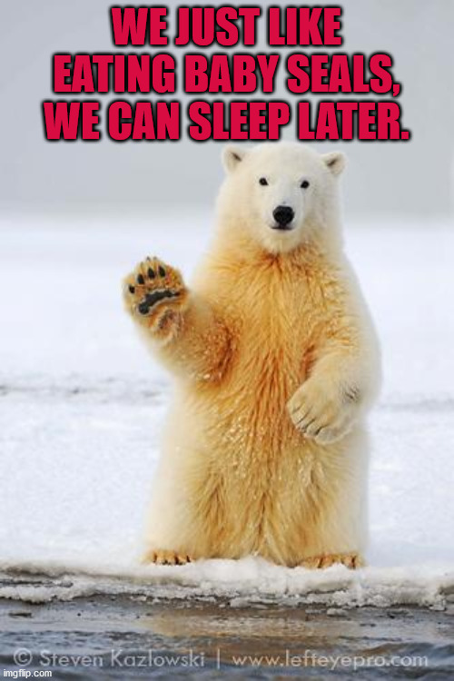 hello polar bear | WE JUST LIKE EATING BABY SEALS, WE CAN SLEEP LATER. | image tagged in hello polar bear | made w/ Imgflip meme maker