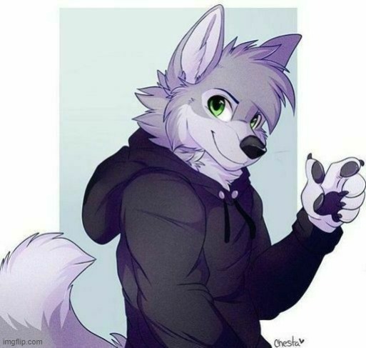 My New Favorite Furry | image tagged in rbtg | made w/ Imgflip meme maker