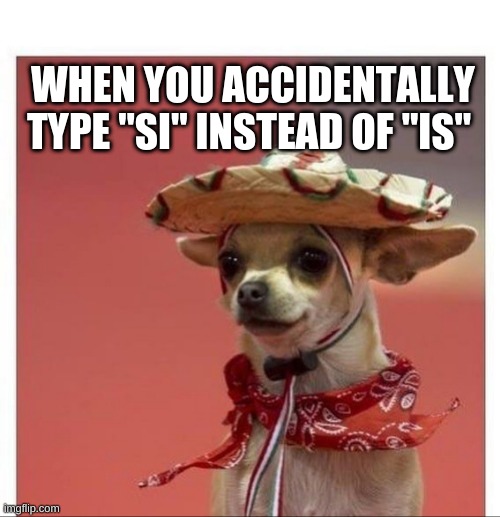 typo | WHEN YOU ACCIDENTALLY TYPE "SI" INSTEAD OF "IS" | image tagged in spanish dog,typing,spanish,funny memes,relatable,dog | made w/ Imgflip meme maker