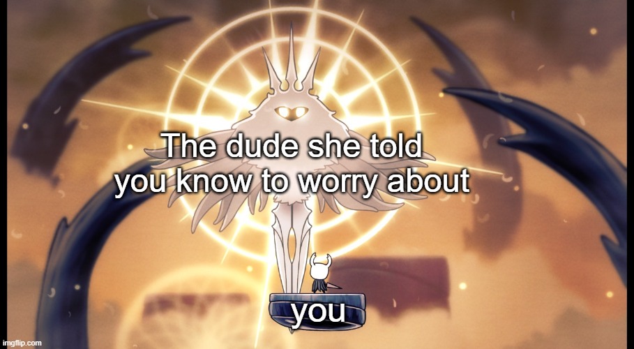 Yeet | The dude she told you know to worry about; you | image tagged in hollow knight radiance | made w/ Imgflip meme maker