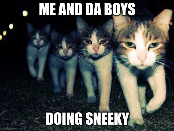 me and da da bo yoys |  ME AND DA BOYS; DOING SNEEKY | image tagged in wrong neighborhood cats,me and the boys | made w/ Imgflip meme maker