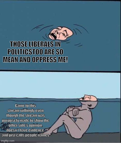 Call someone names, expect to get called names back | THOSE LIBERALS IN POLITICSTOO ARE SO MEAN AND OPPRESS ME! Came to this stream willingly even though the stream was porposely made to show the other side’s opinion, doesn’t have evidence, and just calls people names | image tagged in crying guy drowning,memes,liberals,conservative hypocrisy | made w/ Imgflip meme maker