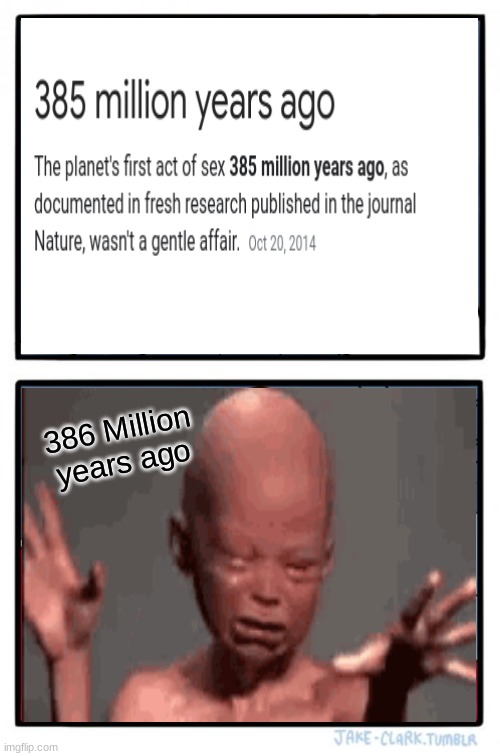 WHY? | 386 Million years ago | image tagged in memes | made w/ Imgflip meme maker