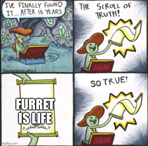 Furret for life | FURRET IS LIFE | image tagged in the real scroll of truth | made w/ Imgflip meme maker