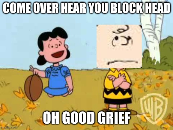 charlie brown and lucy | COME OVER HEAR YOU BLOCK HEAD; OH GOOD GRIEF | image tagged in charlie brown and lucy | made w/ Imgflip meme maker