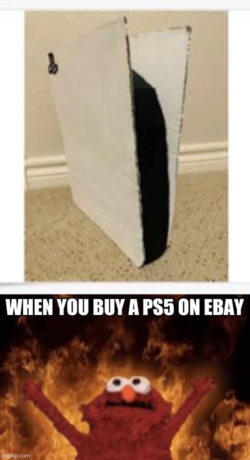 Sadnesss | WHEN YOU BUY A PS5 ON EBAY | image tagged in funny | made w/ Imgflip meme maker