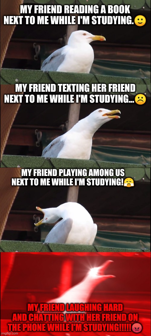 Inhaling Seagull | MY FRIEND READING A BOOK NEXT TO ME WHILE I'M STUDYING.🙂; MY FRIEND TEXTING HER FRIEND NEXT TO ME WHILE I'M STUDYING...☹️; MY FRIEND PLAYING AMONG US NEXT TO ME WHILE I'M STUDYING!😤; MY FRIEND LAUGHING HARD AND CHATTING WITH HER FRIEND ON THE PHONE WHILE I'M STUDYING!!!!!😡 | image tagged in memes,inhaling seagull | made w/ Imgflip meme maker