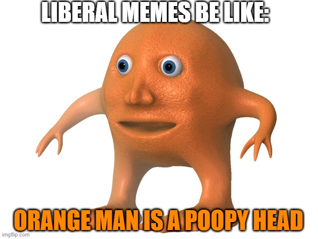 Orange Man | LIBERAL MEMES BE LIKE: ORANGE MAN IS A POOPY HEAD | image tagged in orange man | made w/ Imgflip meme maker