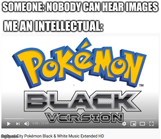 SOMEONE: NOBODY CAN HEAR IMAGES; ME AN INTELLECTUAL: | image tagged in blank white template | made w/ Imgflip meme maker