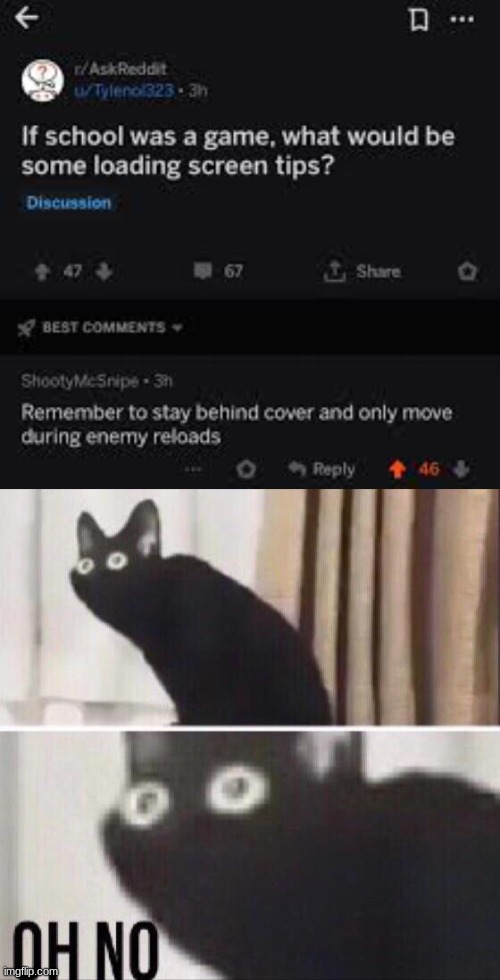 oh no | image tagged in oh no cat | made w/ Imgflip meme maker