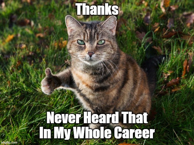 THUMBS UP CAT | Thanks Never Heard That In My Whole Career | image tagged in thumbs up cat | made w/ Imgflip meme maker
