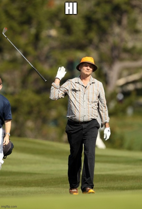 Bill Murray Golf Meme | HI | image tagged in memes,bill murray golf | made w/ Imgflip meme maker