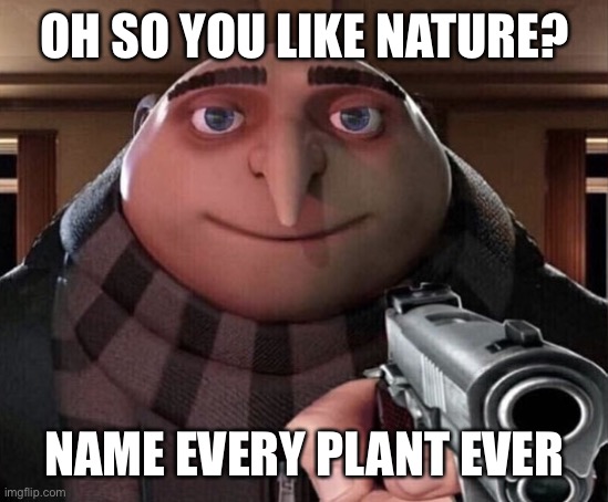 Do it. | OH SO YOU LIKE NATURE? NAME EVERY PLANT EVER | image tagged in gru gun | made w/ Imgflip meme maker