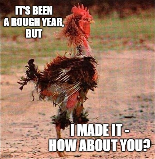 Rooster | IT'S BEEN A ROUGH YEAR,
BUT; I MADE IT - HOW ABOUT YOU? | image tagged in rooster | made w/ Imgflip meme maker
