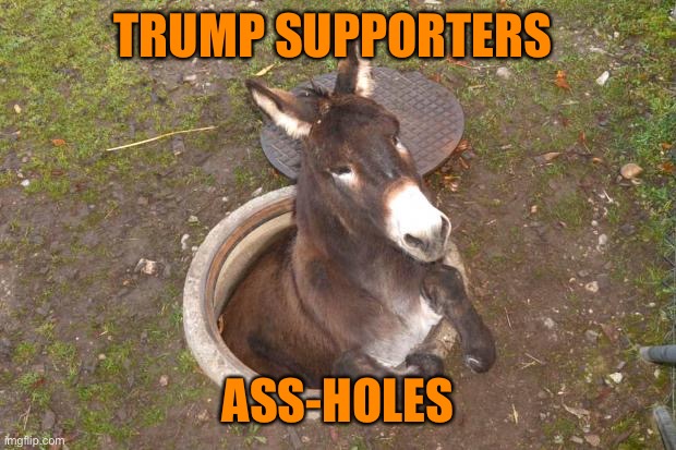 Asshole | TRUMP SUPPORTERS ASS-HOLES | image tagged in asshole | made w/ Imgflip meme maker