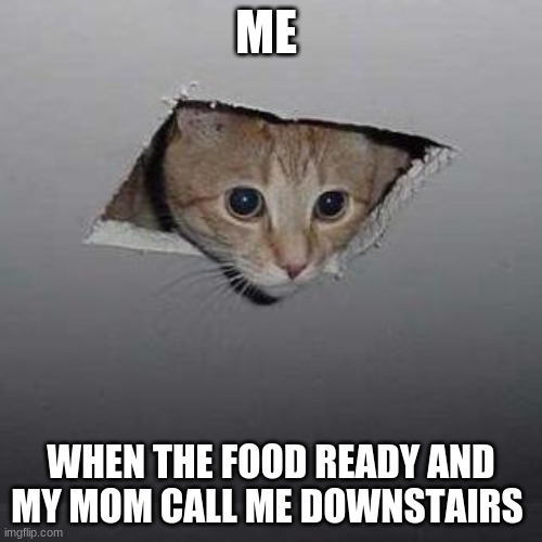 Ceiling Cat | ME; WHEN THE FOOD READY AND MY MOM CALL ME DOWNSTAIRS | image tagged in memes,ceiling cat | made w/ Imgflip meme maker