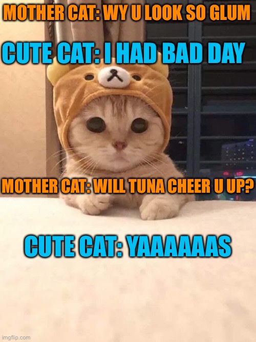 Mother cat to Baby Kit | MOTHER CAT: WY U LOOK SO GLUM; CUTE CAT: I HAD BAD DAY; MOTHER CAT: WILL TUNA CHEER U UP? CUTE CAT: YAAAAAAS | image tagged in rilakuma cat,cute cat | made w/ Imgflip meme maker
