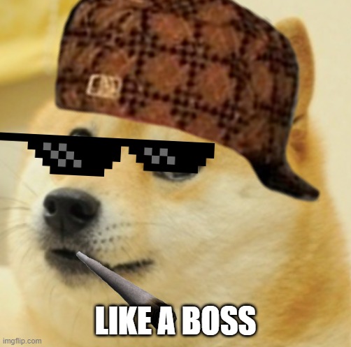 Thug life doge edition | LIKE A BOSS | image tagged in doge | made w/ Imgflip meme maker
