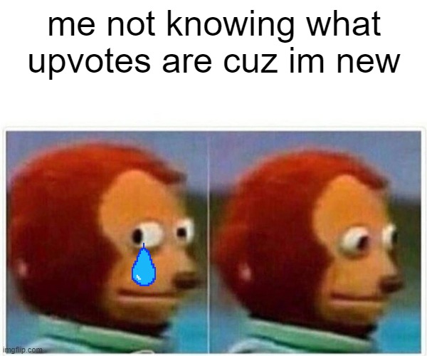 what up votes? | me not knowing what upvotes are cuz im new | image tagged in memes,monkey puppet | made w/ Imgflip meme maker