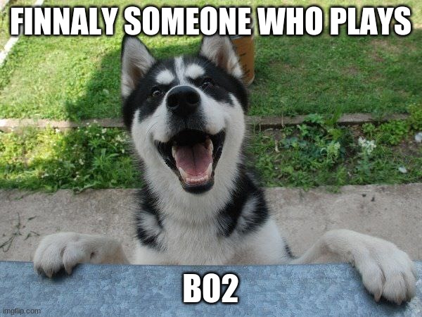 Happy Doggo | FINNALY SOMEONE WHO PLAYS BO2 | image tagged in happy doggo | made w/ Imgflip meme maker