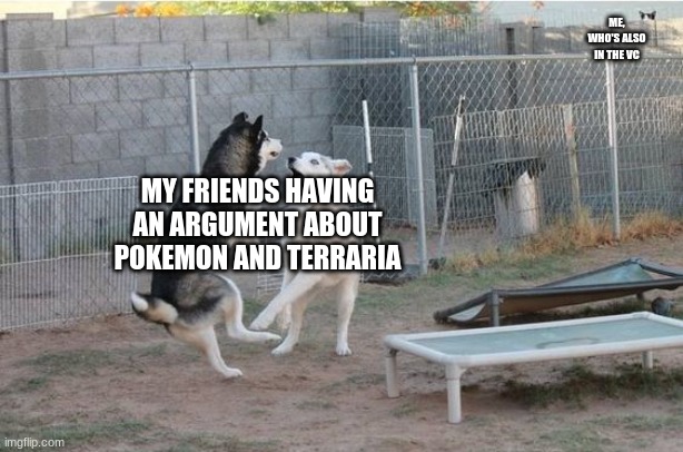 Yelling dogs, wall cat | ME, WHO'S ALSO IN THE VC; MY FRIENDS HAVING AN ARGUMENT ABOUT POKEMON AND TERRARIA | image tagged in funny dogs,cat | made w/ Imgflip meme maker