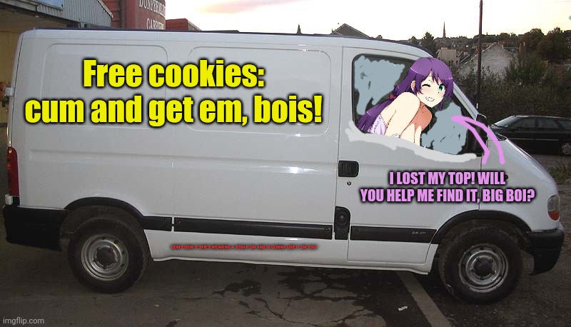 Watch out for this waifu! | Free cookies: cum and get em, bois! DON'T DEW IT SHE'S WEARING A STRAP ON AND IS GONNA USE IT ON YOU! I LOST MY TOP! WILL YOU HELP ME FIND I | image tagged in white van,waifu,free candy van,hot girl,lost top,don't get in the van | made w/ Imgflip meme maker