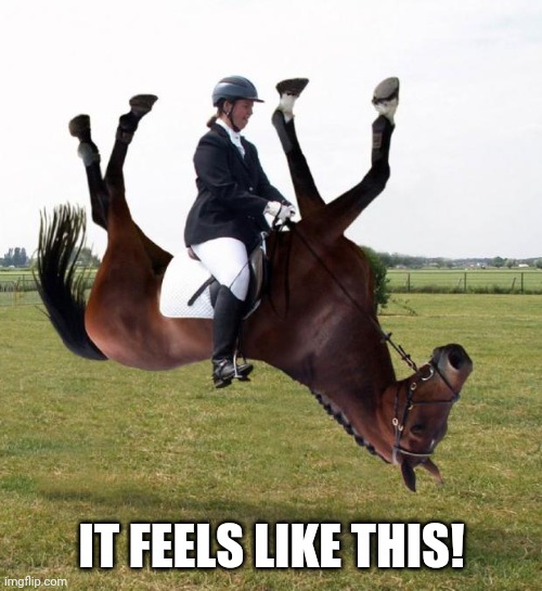 Horse upside down | IT FEELS LIKE THIS! | image tagged in horse upside down | made w/ Imgflip meme maker