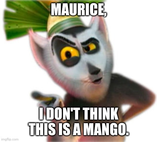King Julien | MAURICE, I DON'T THINK THIS IS A MANGO. | image tagged in king julien | made w/ Imgflip meme maker