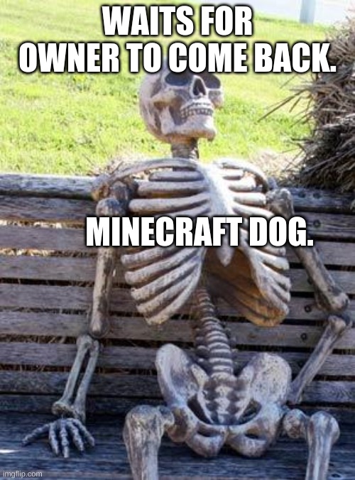 Waiting Skeleton Meme | WAITS FOR OWNER TO COME BACK. MINECRAFT DOG. | image tagged in memes,waiting skeleton | made w/ Imgflip meme maker