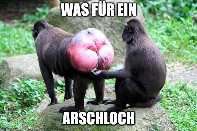 WAS FÜR EIN; ARSCHLOCH | made w/ Imgflip meme maker