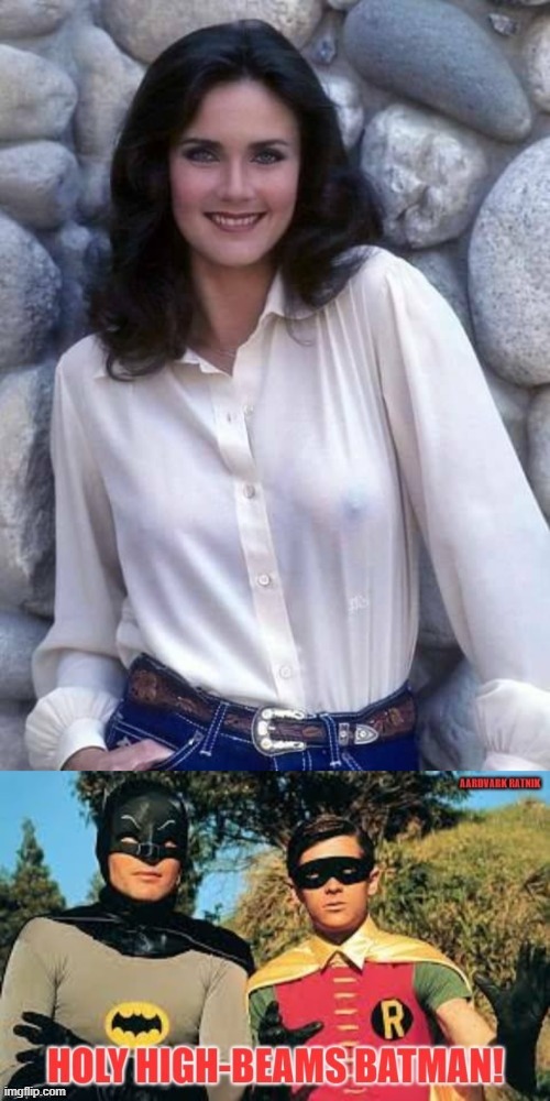 Wonder Chest | image tagged in batman and robin,wonder woman,lynda carter,1970s,sexy women | made w/ Imgflip meme maker