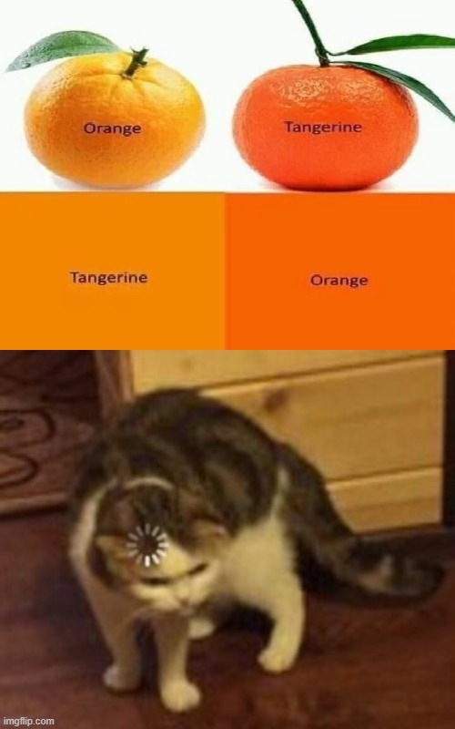 ? | image tagged in loading cat,orange,whatever the other thing is,funny,memes | made w/ Imgflip meme maker