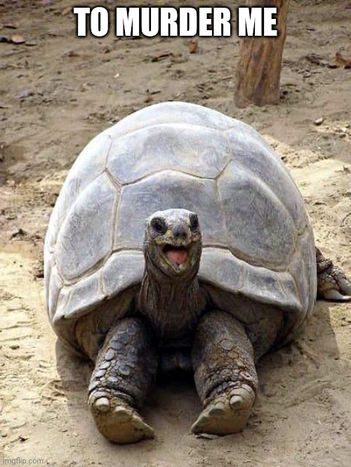 Smiling happy excited tortoise | TO MURDER ME | image tagged in smiling happy excited tortoise | made w/ Imgflip meme maker