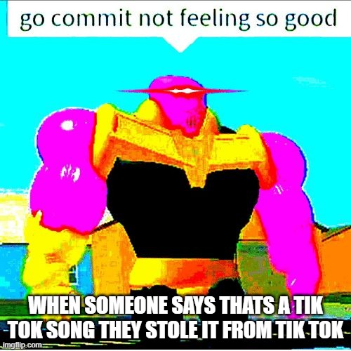 Go commit die | WHEN SOMEONE SAYS THATS A TIK TOK SONG THEY STOLE IT FROM TIK TOK | image tagged in go commit die | made w/ Imgflip meme maker