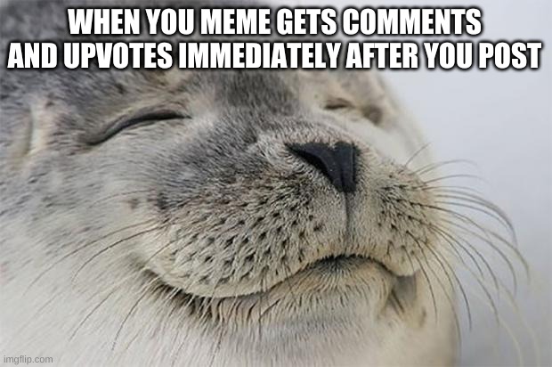 Satisfied Seal Meme | WHEN YOU MEME GETS COMMENTS AND UPVOTES IMMEDIATELY AFTER YOU POST | image tagged in memes,satisfied seal | made w/ Imgflip meme maker