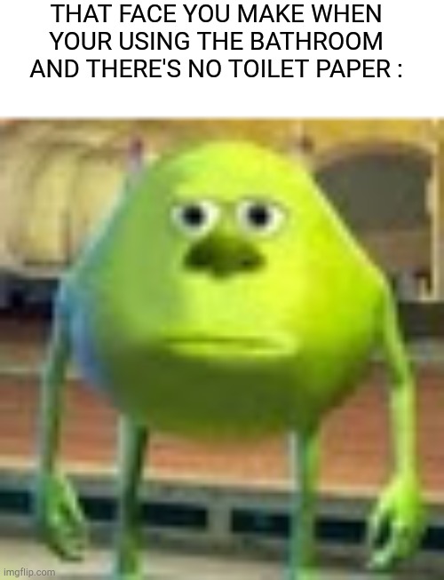 Insert a good title here | THAT FACE YOU MAKE WHEN YOUR USING THE BATHROOM AND THERE'S NO TOILET PAPER : | image tagged in sully wazowski,bathroom,toilet paper | made w/ Imgflip meme maker