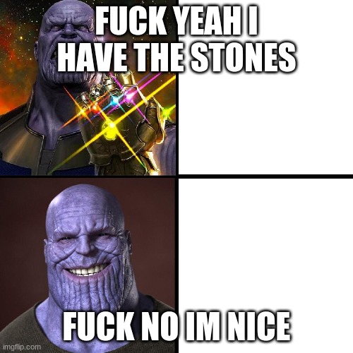 Thrake meme | FUCK YEAH I HAVE THE STONES; FUCK NO IM NICE | image tagged in thrake meme | made w/ Imgflip meme maker