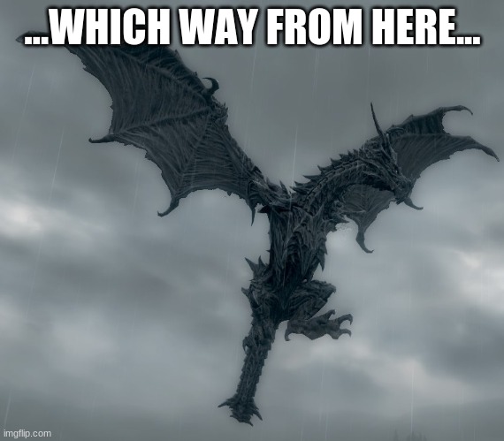 Which way? | ...WHICH WAY FROM HERE... | image tagged in alduin,which way from here meme,skyrim memes,funny memes,memes 2020 | made w/ Imgflip meme maker