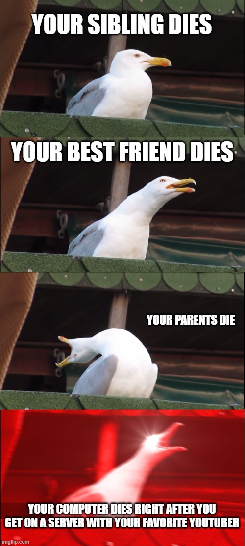 AHHHHHHHHHHHHHHHHHHHHHH | YOUR SIBLING DIES; YOUR BEST FRIEND DIES; YOUR PARENTS DIE; YOUR COMPUTER DIES RIGHT AFTER YOU GET ON A SERVER WITH YOUR FAVORITE YOUTUBER | image tagged in memes,inhaling seagull | made w/ Imgflip meme maker